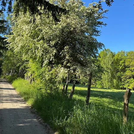 Casa vacanze Mazurskie Zacisze - Sauna, Jacuzzi, Kominek