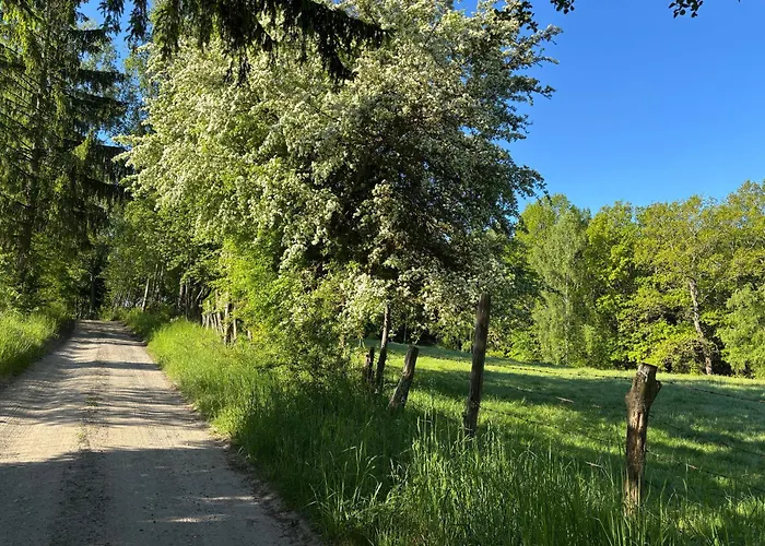Semesterbostad Mazurskie Zacisze - Sauna, Jacuzzi, Kominek