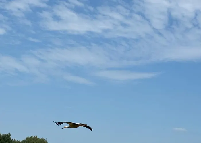 Дом отдыха Mazurskie Zacisze - Sauna, Jacuzzi, Kominek