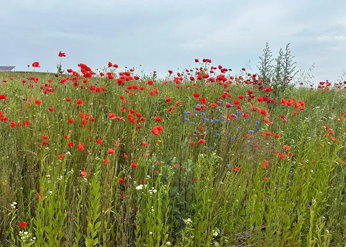Mazurskie Zacisze - Sauna, Jacuzzi, Kominek Дом отдыха