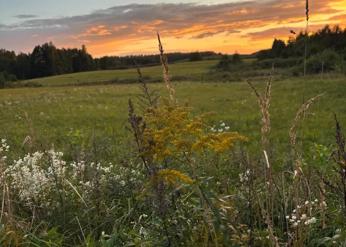 Mazurskie Zacisze - Sauna, Jacuzzi, Kominek Дом отдыха